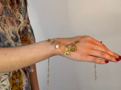 charm 3