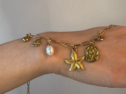 charm 3
