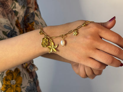 charm 3